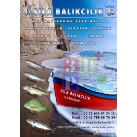 Impression Flyers & Affiches A5 14,8x21 cm Express 24-48h