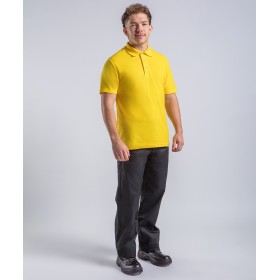 Polo RTX Pro RX101 Polycoton 220g/m² Tailles S au 8XL disponible