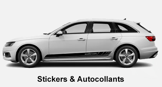 cms-banner-3.jpg