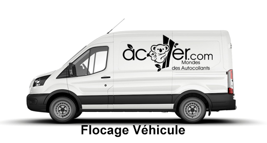 Flocage Véhicule