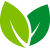 sustainable-icon-leaf.jpg